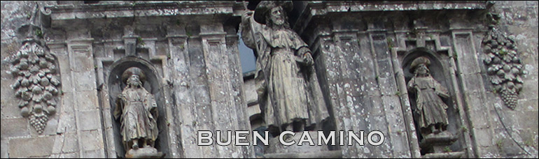 into the world of Animals and Humans